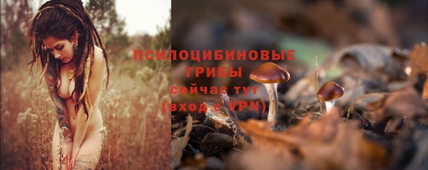 ПСИЛОЦИБИНОВЫЕ ГРИБЫ Баксан