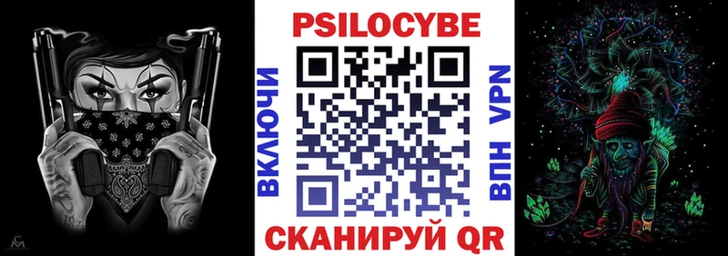 Галлюциногенные грибы Psilocybe  Белёв 